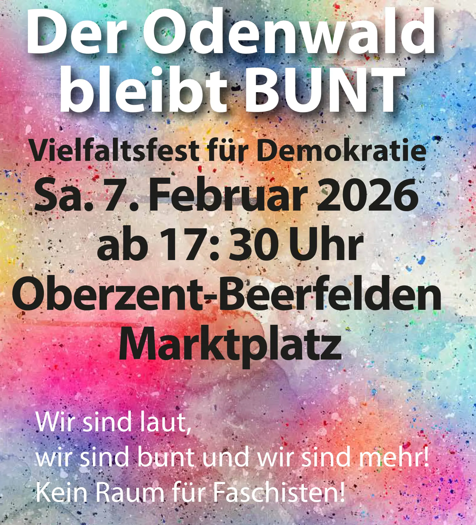 Vielfaltsfest für Demokratie vielfalt inhalt2